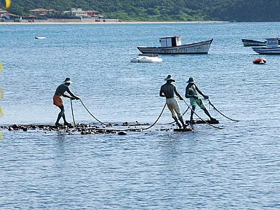 Intenção de viajar pelo Brasil registra o maior índice dos últimos cinco anos