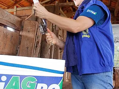 Governo convoca novos fiscais agropecuários para reforço na defesa e inspeção animal e vegetal
