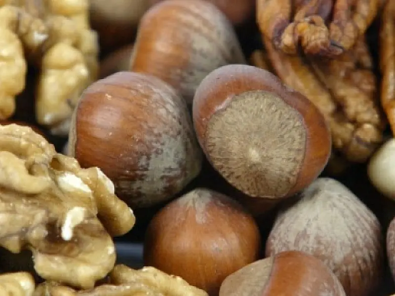 Pessoas que comem nozes e castanhas todo dia vivem mais e são mais magras