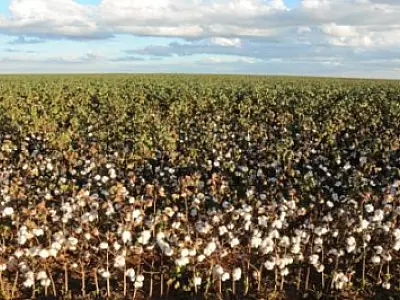 Chapadão do Sul é destaque nacional no “Globo Repórter”