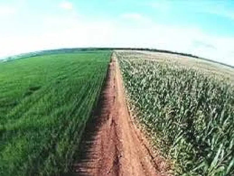 Agricultura de precisão reduz custos e aumenta produtividade da lavoura