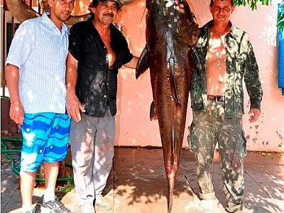 Moradores de Nova Andradina pescam peixe gigante