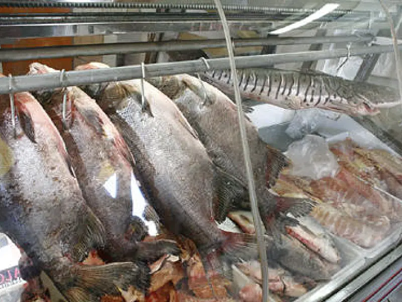 Procon aponta variação de até 72,98% no preço do pescado na Capital