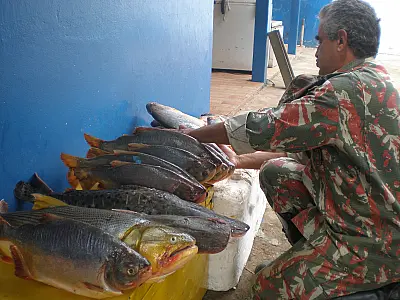 Operação piracema já apreendeu 307kg de pescado em MS