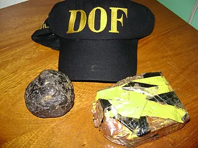 DOF apreende jovem com haxixe e maconha em ônibus