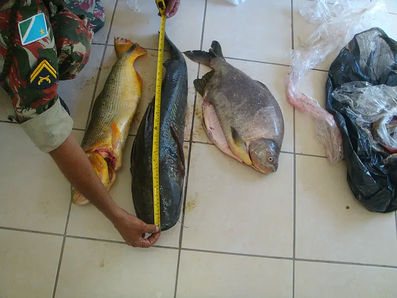 Homem é preso pescando durante a piracema