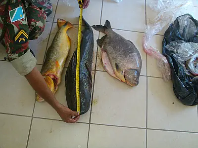 Homem é preso pescando durante a piracema
