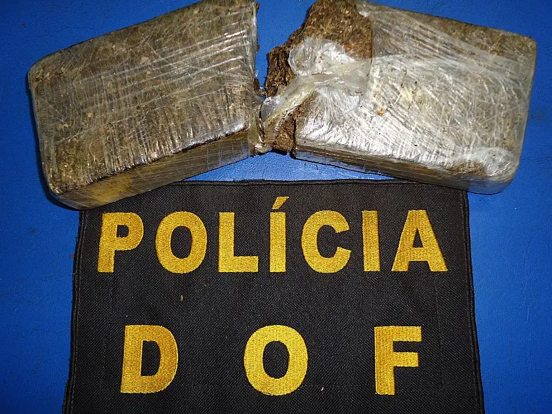 Cerca de 790 gramas de maconha é apreendida em ônibus pelo DOF