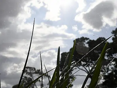 Sol, nuvens e possibilidade de chuva: a previsão do tempo para esta quinta-feira
