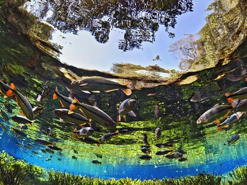 Bonito, em MS, é reconhecido como Maior Turismo Responsável do Mundo