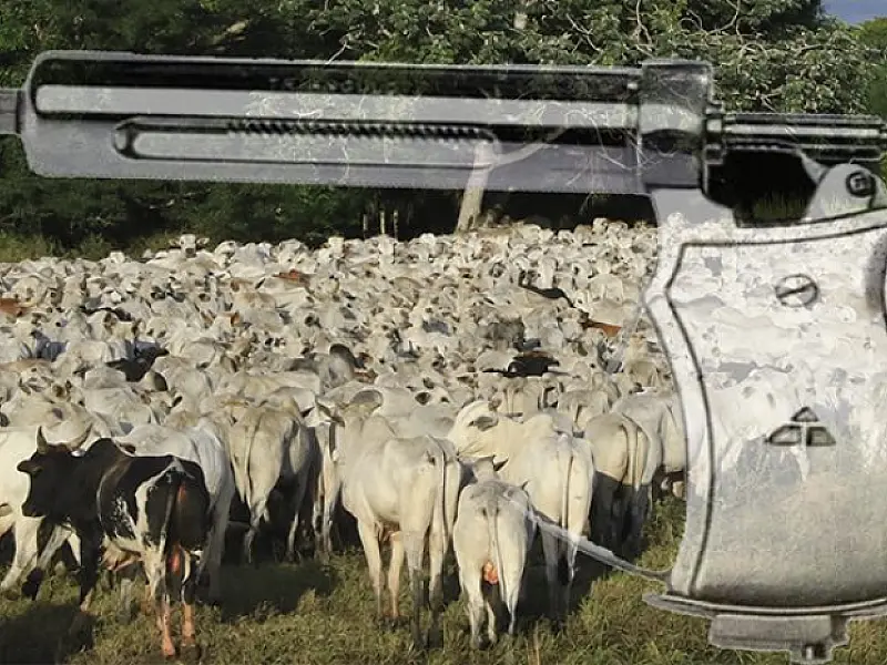 Calendário de vacinação contra aftosa será invertido em Mato Grosso do Sul
