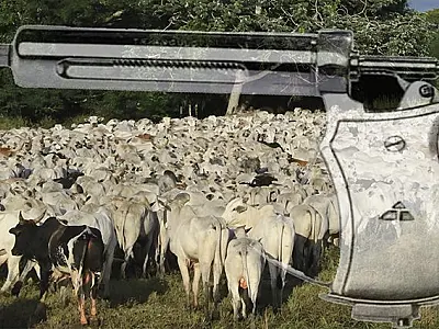Calendário de vacinação contra aftosa será invertido em Mato Grosso do Sul
