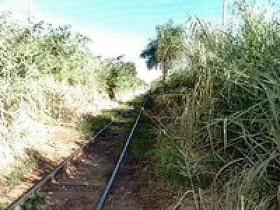 ALL e MPF firmam acordo para retirada de resíduos da linha férrea