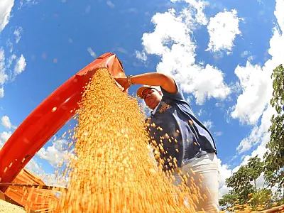 MS desponta no agronegócio nacional com alta na renda agropecuária e na busca por crédito rural