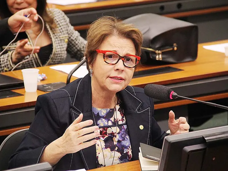 Deputada Tereza Cristina explica a importância da PEC do Teto para o Brasil