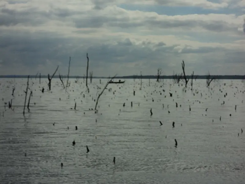 PMA apreende 1 km de redes de pesca e dois pescadores fogem