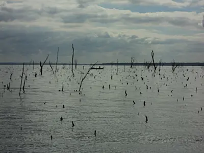 PMA apreende 1 km de redes de pesca e dois pescadores fogem