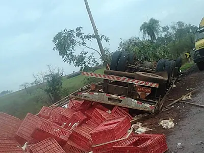 Caminhão carregado de frango tomba na MS-147