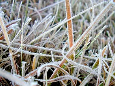 Risco de geada nesta sexta-feira em Mato Grosso do Sul