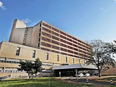 ´Fevereiro Laranja': a importância do diagnóstico precoce das leucemias e a doação de medula óssea

