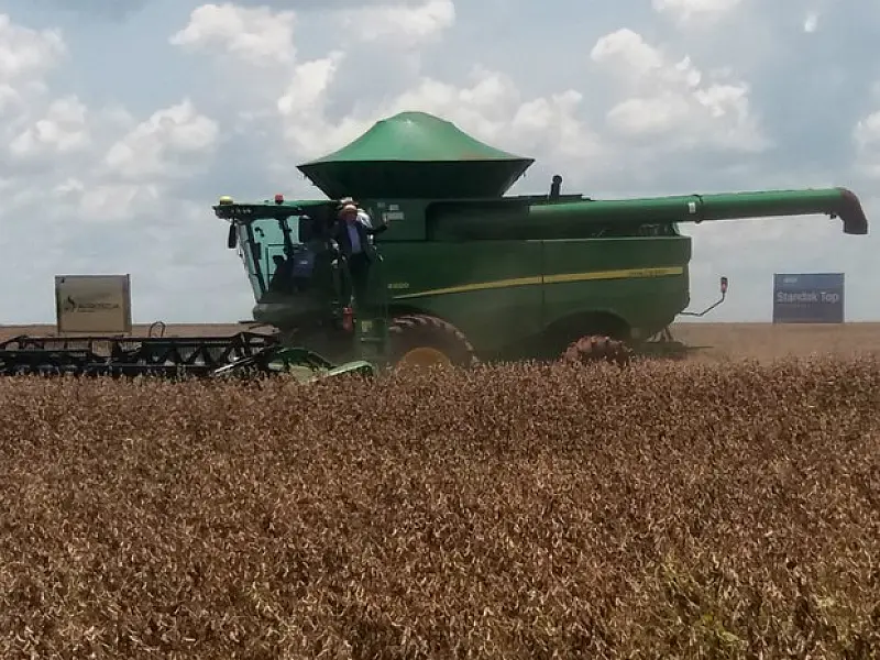 Em safra recorde, colheita já atinge 93% da área plantada com soja em MS