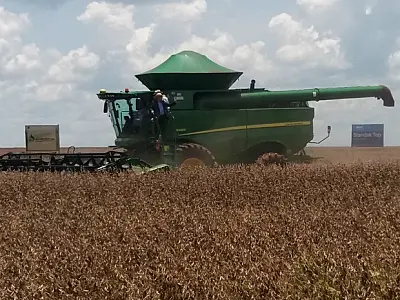 Em safra recorde, colheita já atinge 93% da área plantada com soja em MS