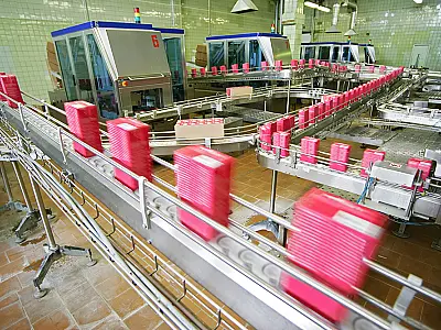 Retração do consumo faz indústria laticínia segurar preço do leite