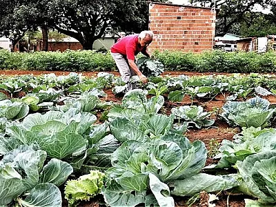 Agricultura Familiar: Governo prorroga DAP's por mais 6 meses
