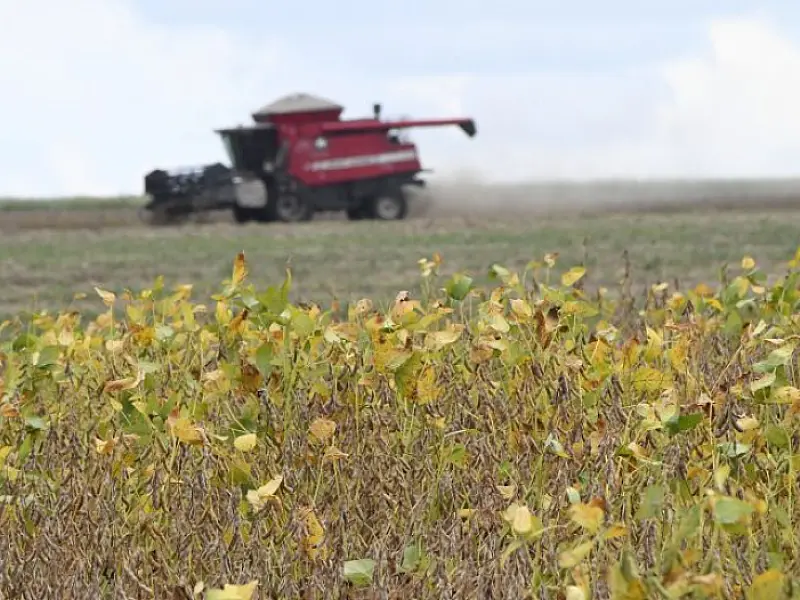 Começa plantio da maior safra de soja de Mato Grosso do Sul,