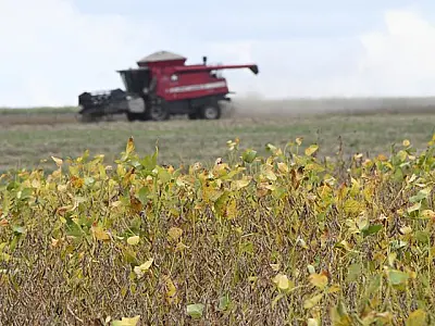 Começa plantio da maior safra de soja de Mato Grosso do Sul,