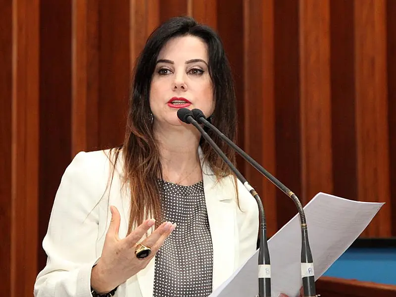 Deputada Mara defende criação de CPI para investigar CIMI