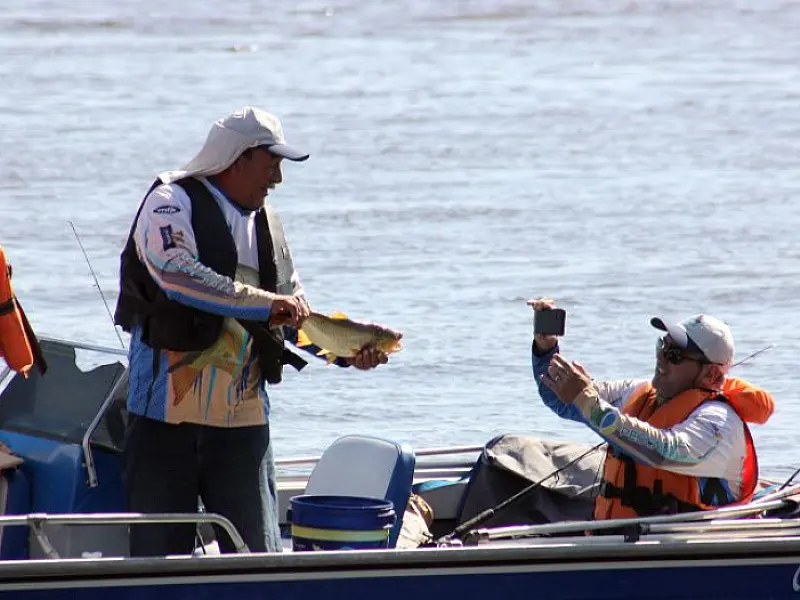 Festival de Pesca de Corumbá tem 121 peixes capturados e dourado é o destaque
