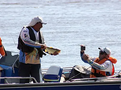 Festival de Pesca de Corumbá tem 121 peixes capturados e dourado é o destaque

