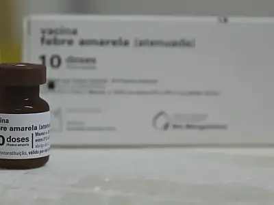 MS completa 10 anos sem casos de febre amarela humana e mantém alerta com vacinação