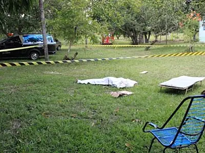 Homem de 62 anos morre após ser atacado por maribondos em Rio Verde