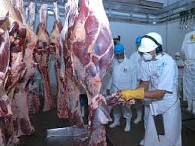 Exportação de carne bovina sobe 23,7% em 2013
