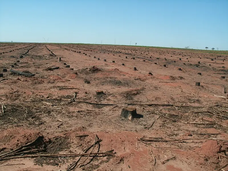 Pecuarista paranaense é autuado em R$ 68 mil por incêndio em sua propriedade