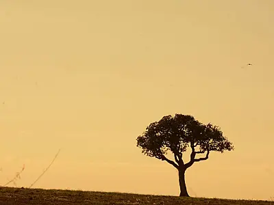 Previsão do tempo indica altas temperaturas e baixa umidade do ar para esta quarta-feira