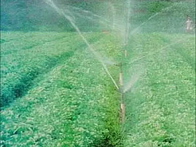 Nova Política Nacional de Irrigação substitui diretrizes em vigor há 34 anos