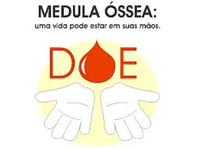 Número de doadores de medula óssea pode aumentar para 12 mil em MS