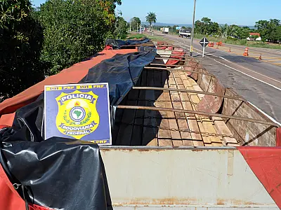 Madeira ilegal é apreendida em Coxim