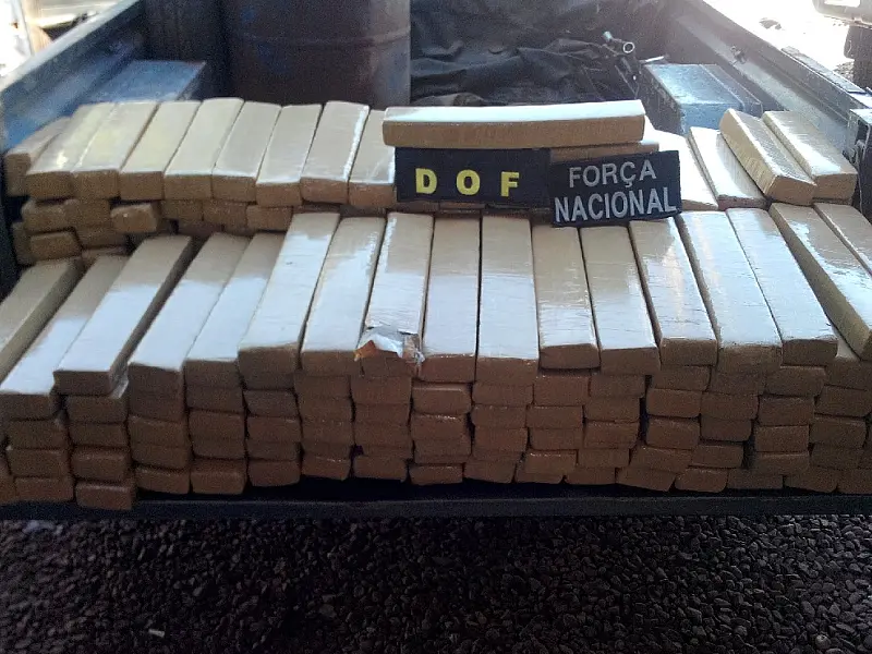 DOF apreende 269 quilos de maconha em Laguna Carapã