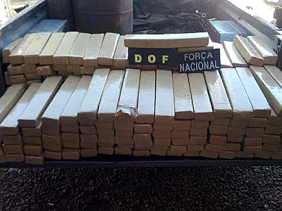 DOF apreende 269 quilos de maconha em Laguna Carapã