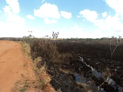 PMA autua empresa em R$ 150 mil por incêndio em 30 hectares de matas ciliares de córrego