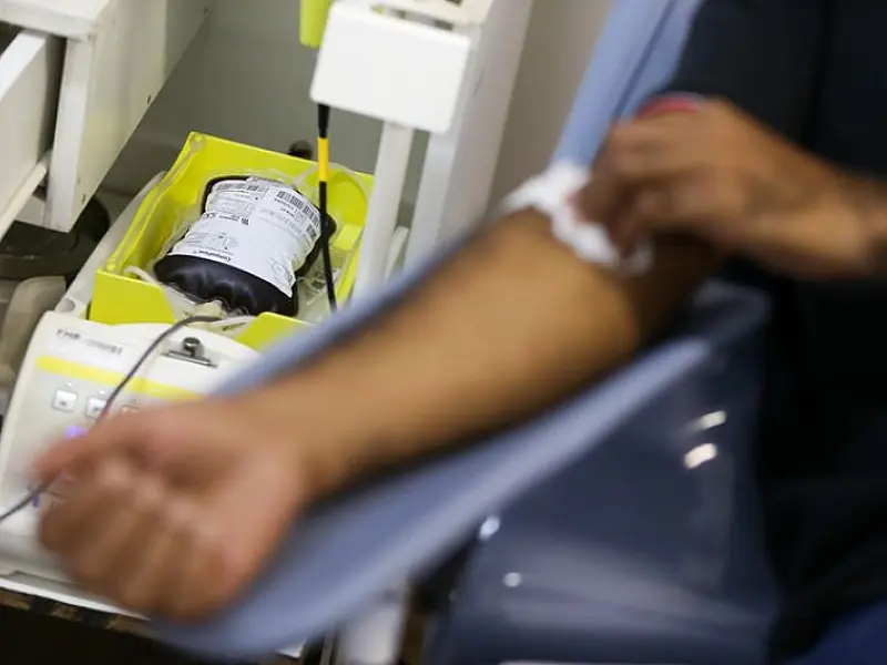 Emergência: Hemosul convoca doadores de sangue O- e O+