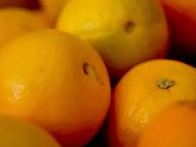 Frutas ficam mais caras em quase todas as Ceasas, diz relatório da Conab
