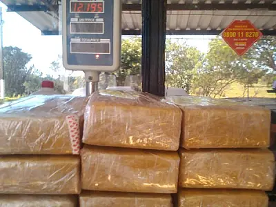 DOF apreende maconha com adolescente em Amambaí