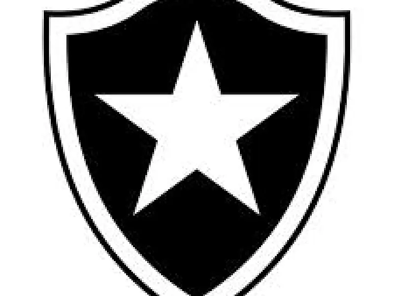 Botafogo perde em casa e se complica na Libertadores