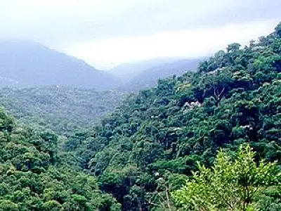 Ambientalistas e produtores avaliam impactos do novo Código Florestal
