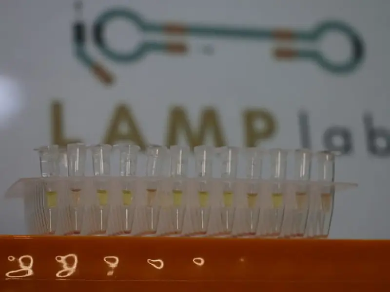 Startup recebe apoio da Fundect e inova com diagnóstico rápido de leishmaniose